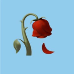 Meet your Posher, Aysenur